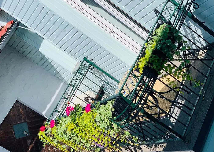 Rueuetli Residents פארנו